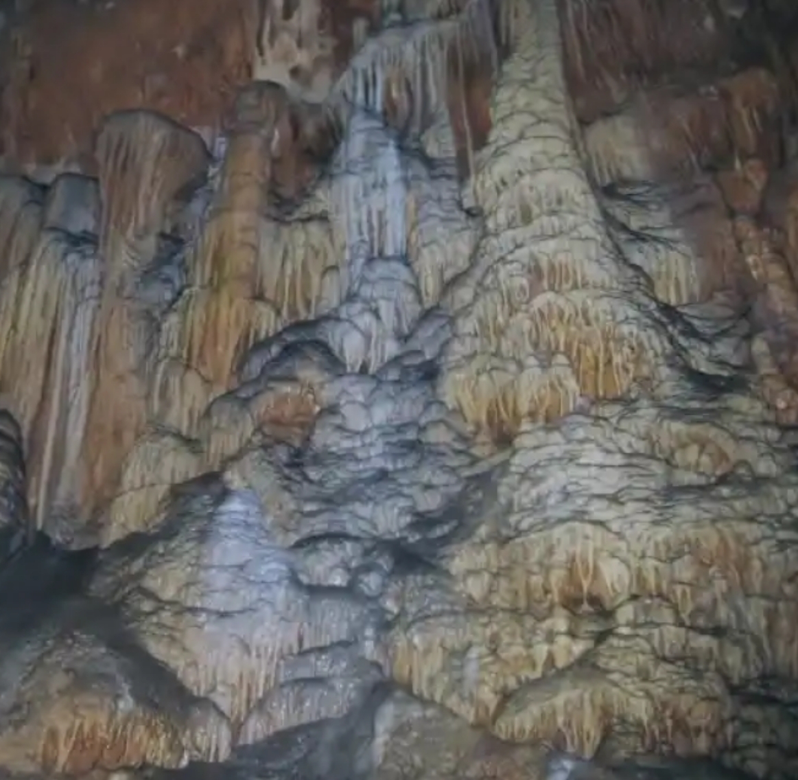 f:id:WANNABE:20190501190259j:plain