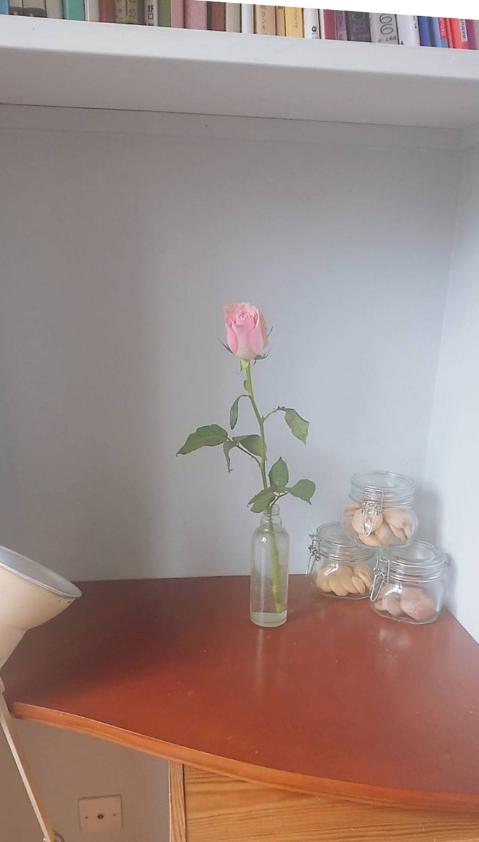 f:id:WANNABE:20190522083924j:plain