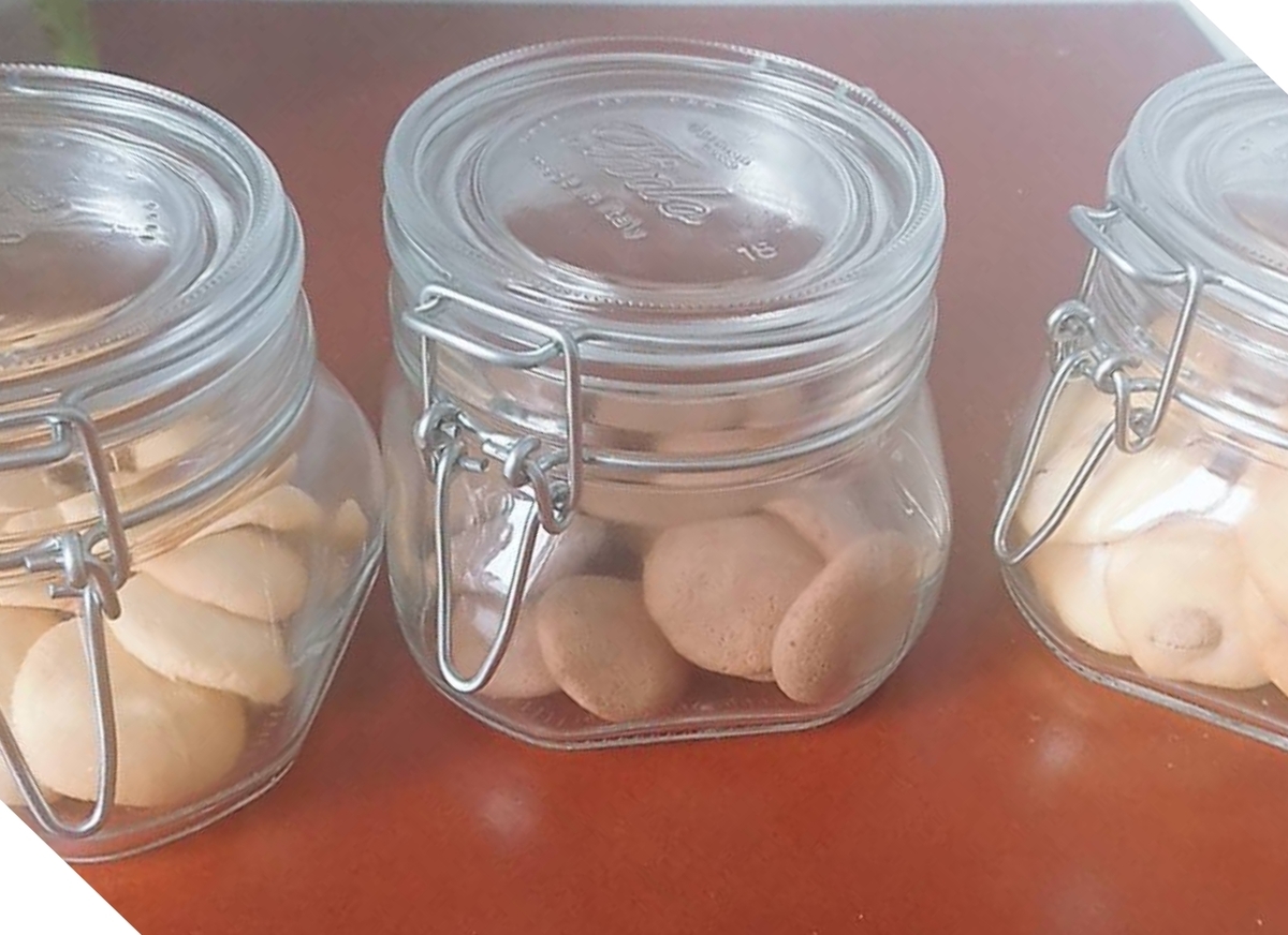 f:id:WANNABE:20190522083943j:plain