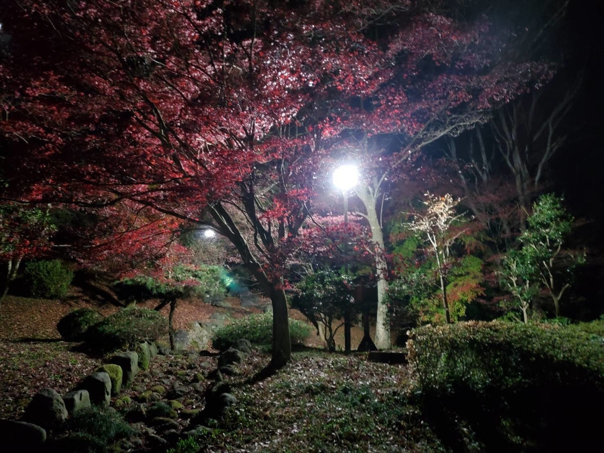 11月22日 栃木県大田原市御殿山公園 紅葉まつりのライトアップに行ってきました その２ Wanndafurupapa S Diary