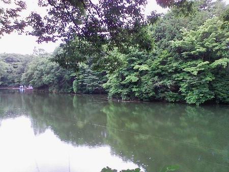 f:id:WAT:20070615002814j:image