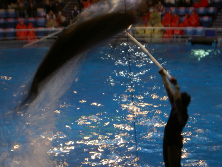 f:id:WAT:20090201140823j:image