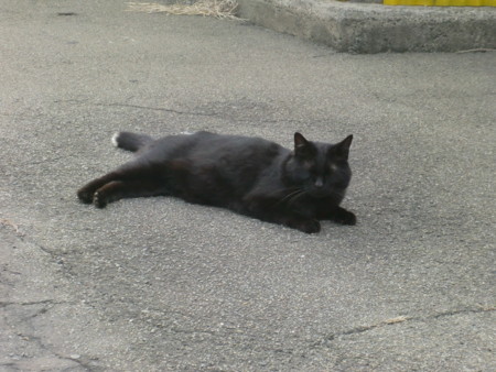 f:id:WAT:20100410163814j:image