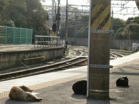 f:id:WAT:20100410163839j:image