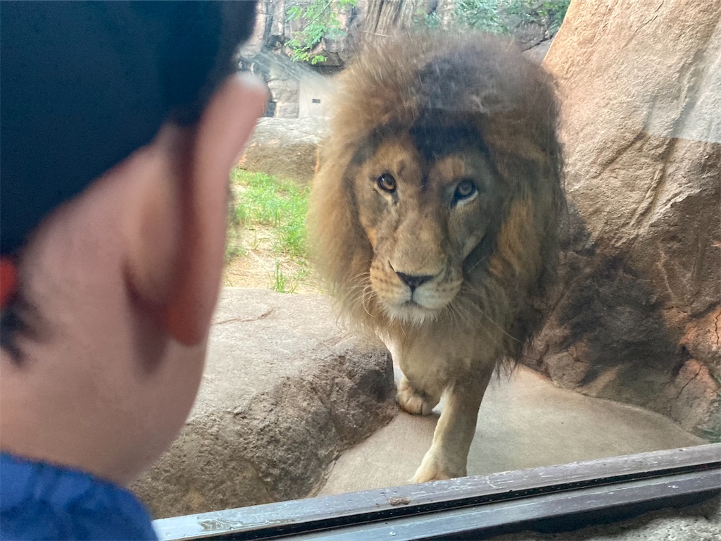 天王寺動物園ナイトzoo わたなべばうの日記