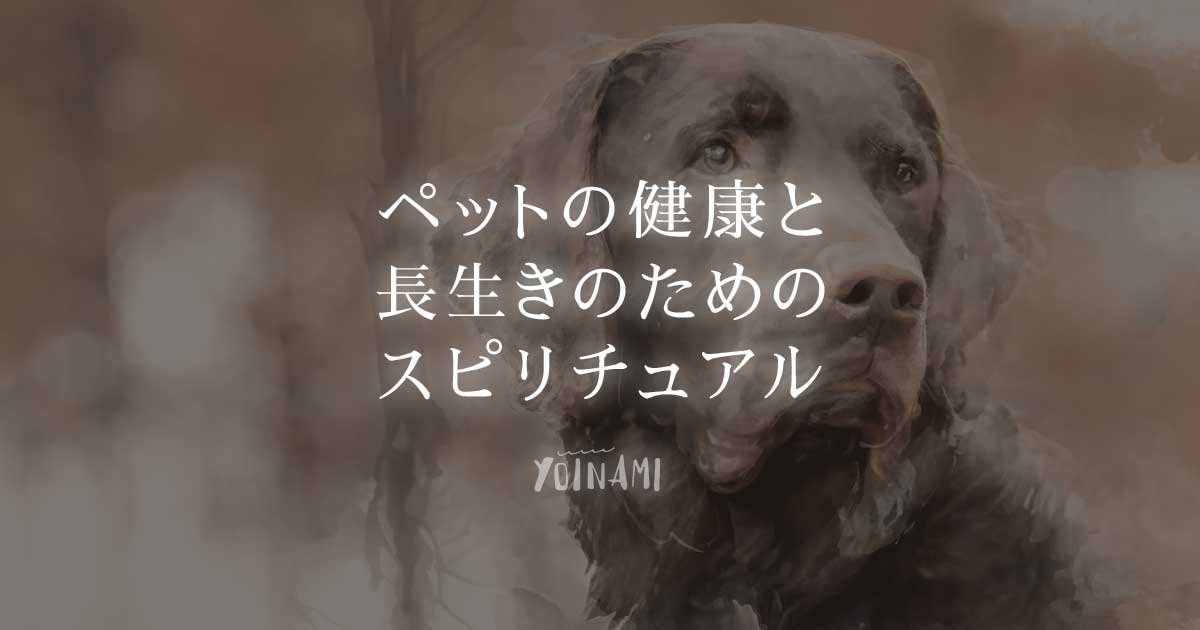 ペットの健康と長生きのためのスピリチュアル