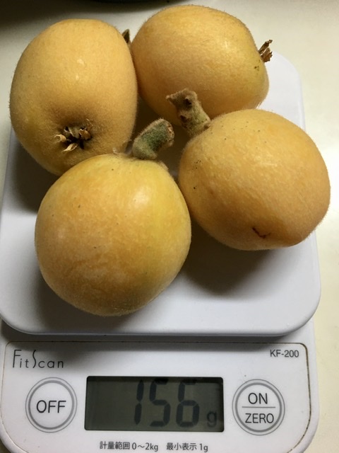 f:id:WEBshokudou:20200627213001j:plain f:id:WEBshokudou:20200627213001j:plain