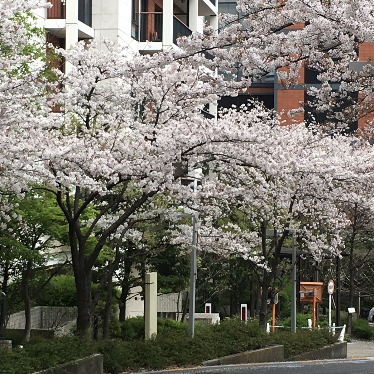 f:id:WEBshokudou:20210331235442j:plain