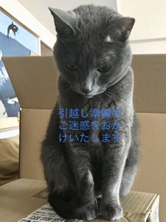 f:id:WEBshokudou:20210422135356j:plain