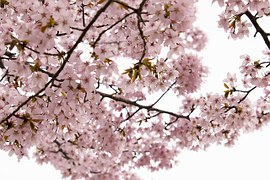 f:id:WEST81:20160710205928j:plain