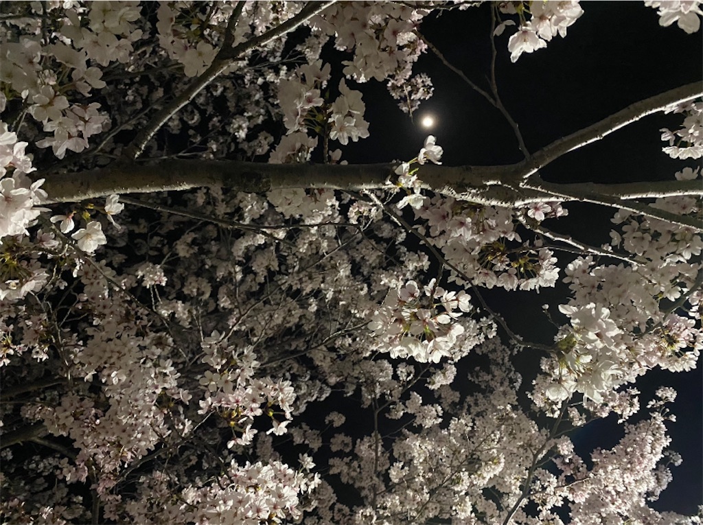 f:id:WKheisen:20230402204509j:image f:id:WKheisen:20230402204509j:image
