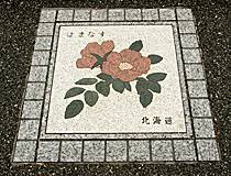 f:id:WaKA:20190411213508j:plain f:id:WaKA:20190411213508j:plain