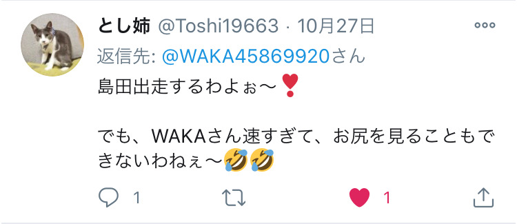 f:id:WaKA:20201029194951j:plain f:id:WaKA:20201029194951j:plain