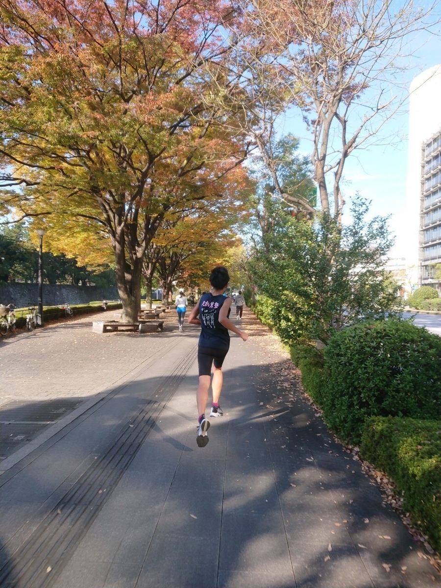 f:id:WaKA:20201115212112j:plain