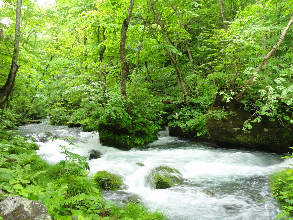 f:id:Wahrung-Euro:20190722090642j:plain