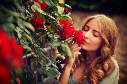 f:id:WakWak:20160920150208j:plain f:id:WakWak:20160920150208j:plain