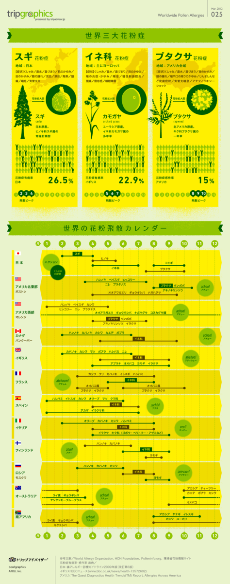 花粉症の説明図