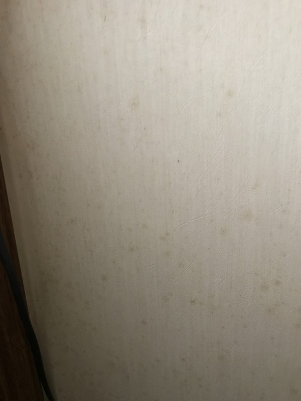 f:id:Washi-ga_Kazy:20180104225649j:image:w360