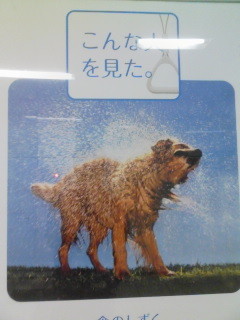 f:id:Watarcha:20110604182713j:image