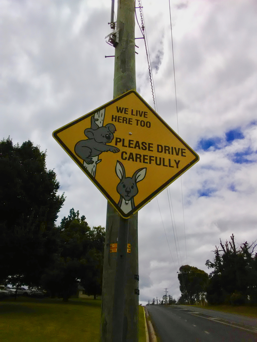 f:id:Wattlebird:20220204165442j:plain