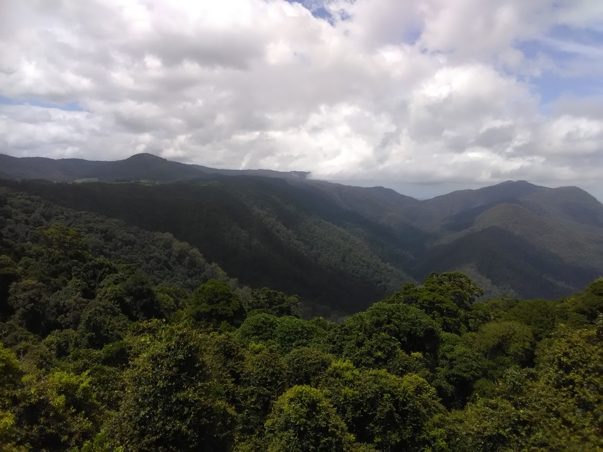 f:id:Wattlebird:20220309174654j:plain