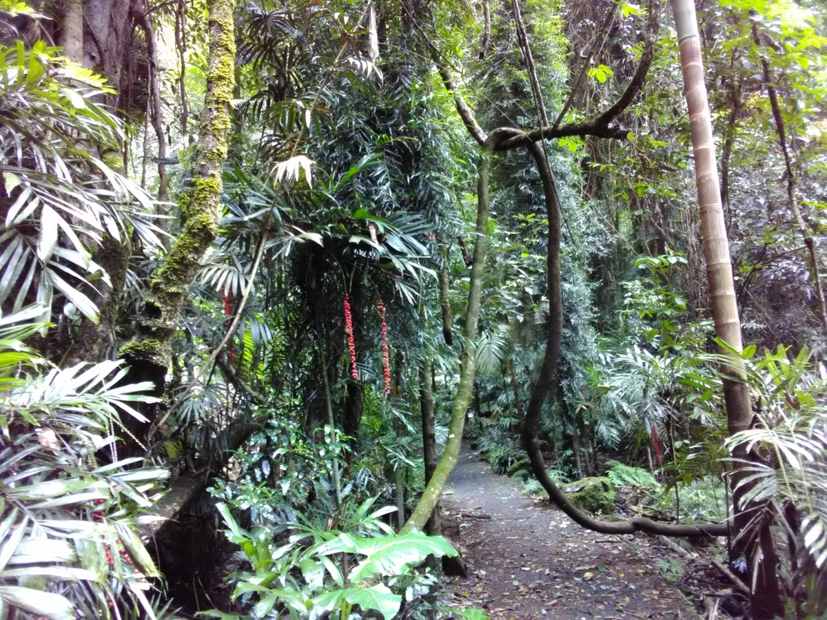 f:id:Wattlebird:20220309180904j:plain