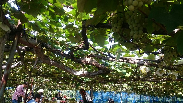 f:id:WeekEndRider:20161001201749j:image