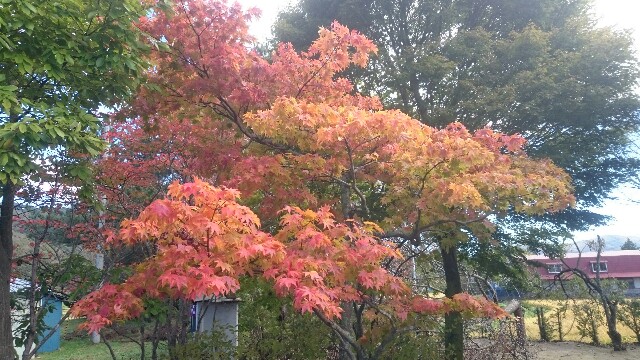 f:id:WeekEndRider:20161019203359j:image