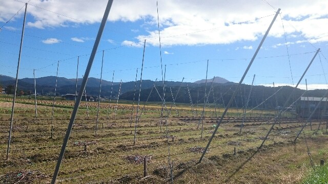 f:id:WeekEndRider:20161019203525j:image