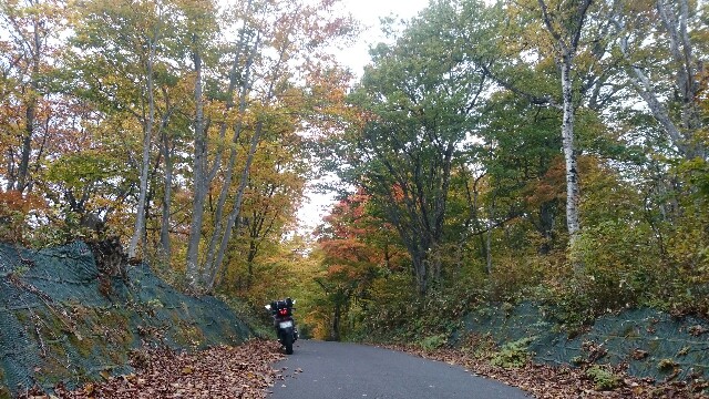f:id:WeekEndRider:20161031232140j:image