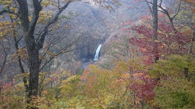 f:id:WeekEndRider:20161112221306j:image