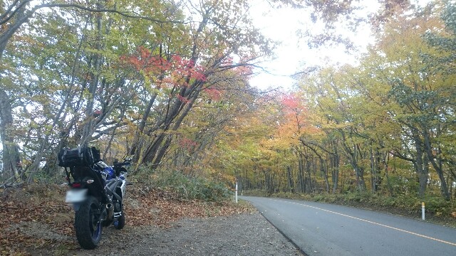 f:id:WeekEndRider:20161112232204j:image