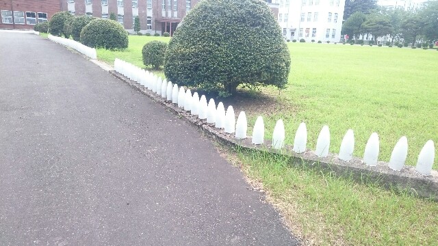 f:id:WeekEndRider:20170809131605j:image f:id:WeekEndRider:20170809131605j:image