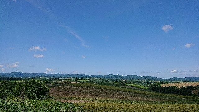 f:id:WeekEndRider:20190628194220j:image