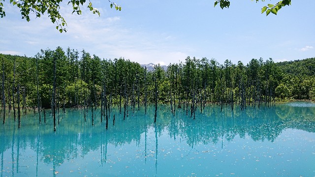 f:id:WeekEndRider:20190628214233j:image