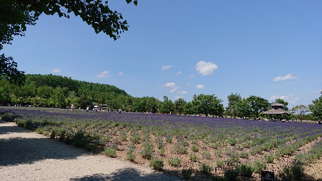 f:id:WeekEndRider:20190628222225j:image