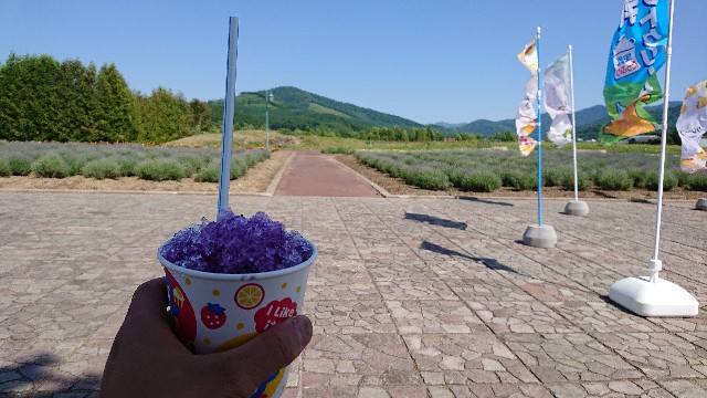 f:id:WeekEndRider:20190628230220j:image