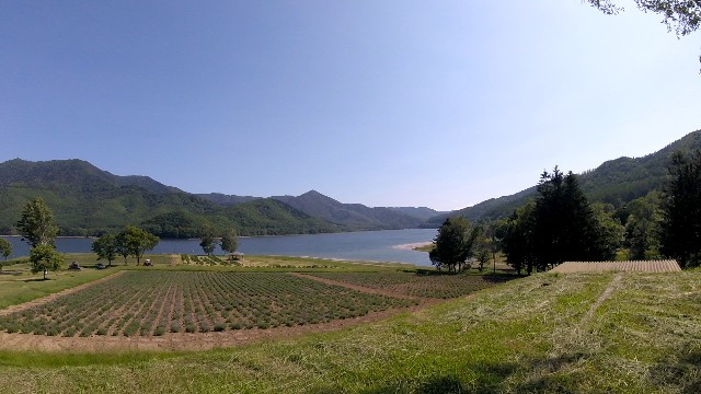 f:id:WeekEndRider:20190629071000j:image