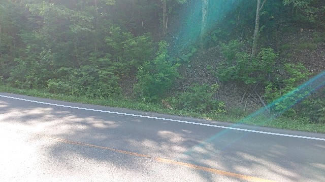 f:id:WeekEndRider:20190629080411j:image