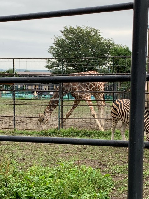 f:id:WeekEndRider:20190813151609j:image