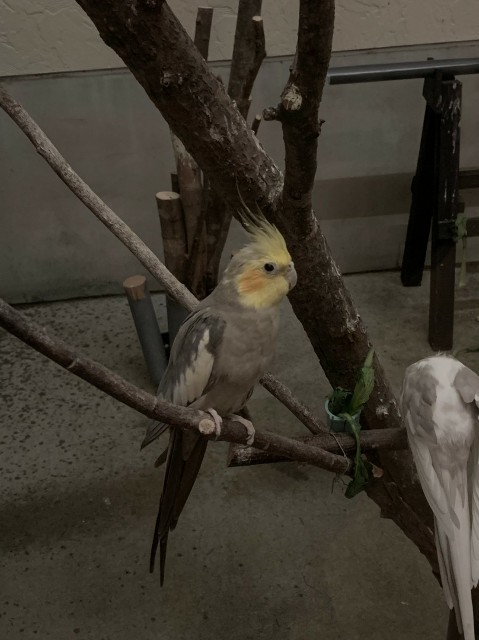 f:id:WeekEndRider:20190813151648j:image