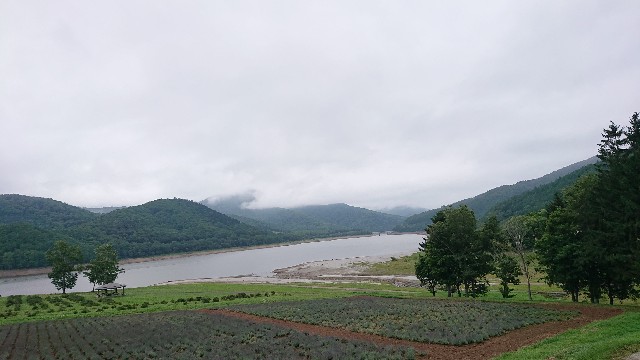 f:id:WeekEndRider:20190813160153j:image