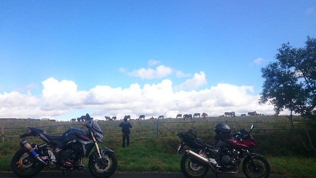f:id:WeekEndRider:20191020224536j:image