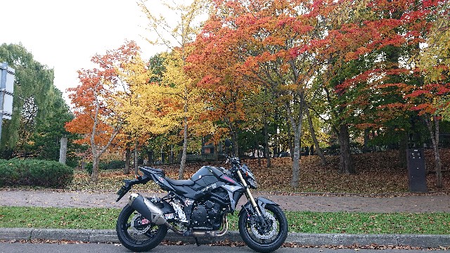 f:id:WeekEndRider:20191022181524j:image