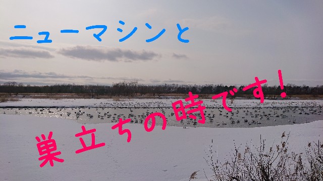 f:id:WeekEndRider:20200412172834j:image