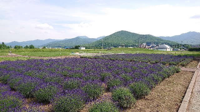f:id:WeekEndRider:20200712163245j:image