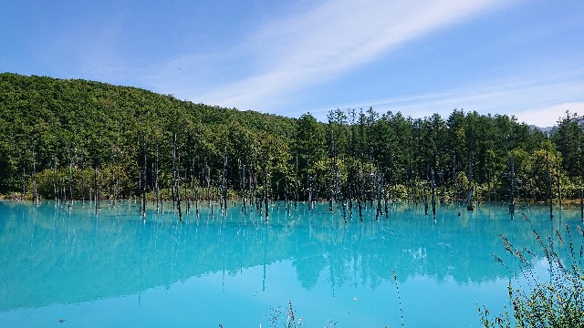 f:id:WeekEndRider:20200823000635j:image