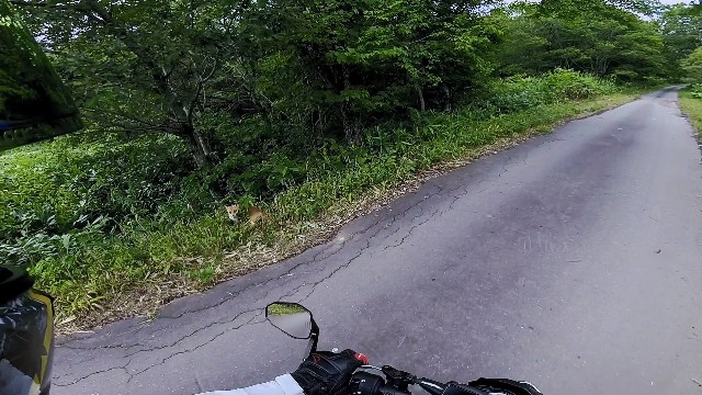 f:id:WeekEndRider:20210831230213j:image f:id:WeekEndRider:20210831230213j:image