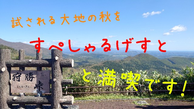 f:id:WeekEndRider:20211009211549j:image