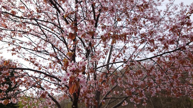 f:id:WeekEndRider:20220430195559j:image